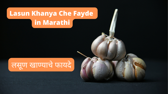 Lasun Khanya Che Fayde in Marathi